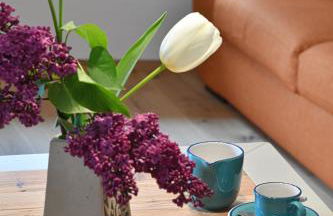 Maso Tofolaci - Foto 15