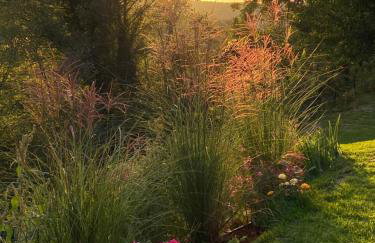 Villa La Vinella with heated pool - Foto 55