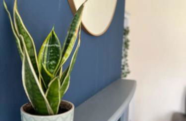 A home from home, Dundrum - Foto 11