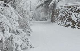 BOB HOUSE - Il Bellantonio - Foto 21