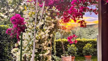 Casa di Gio - Photo 5