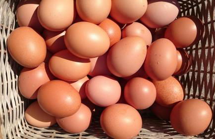 Wohnung 10 - a70517 - Foto 19