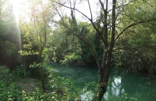 Maison en Provence La Cascatelle 6-8 pers - Foto 36