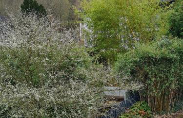 Ferienhaus Am Reilsbach - Foto 68