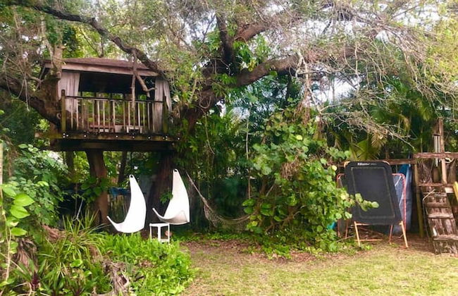 Miami Pool Cottage in El Portal - Foto 46