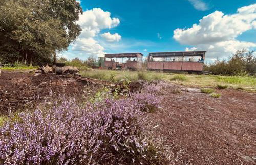Idyllisches Ferienhaus Nähe Dümmer See Auszeit Sauna Natur - Foto 27
