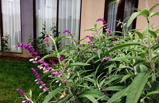 Kingsford Residences - Foto 29