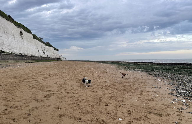 Winterstoke View, Family and dog Friendly Beach Retreat - Photo 33