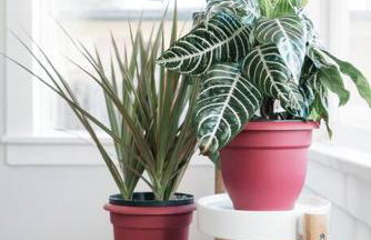 Historic Hm Mins to Beach, Convention Ctr Parking LB E - Foto 19