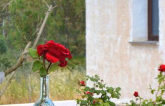 Agriturismo Rubinu - Photo 73