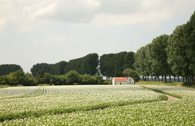 Dike House in Schoondijke Near Beaches - Foto 29