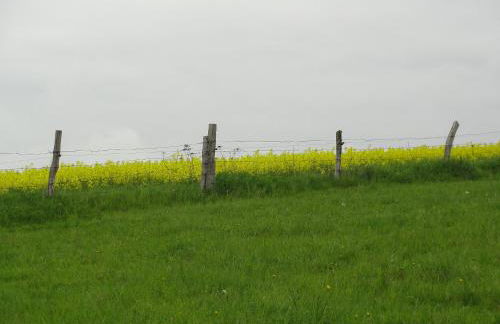 Appartementhaus Alter Speicher - Foto 38