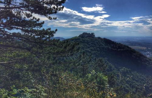 AlbLounge VIP Appartement - Foto 41