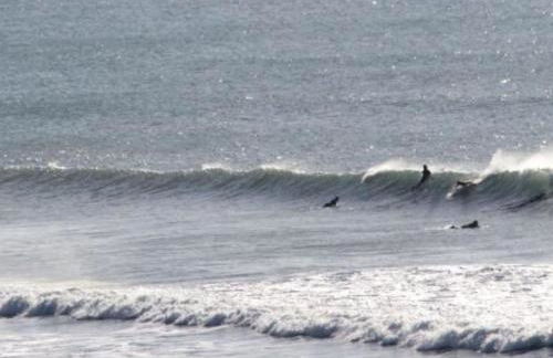 Long Linhay Mortehoe Woolacombe - Foto 41