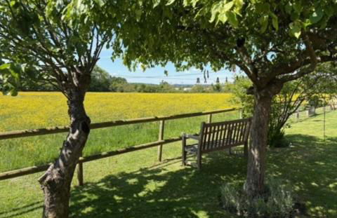 Charming modernized country cottage Near Mere, Wiltshire - Foto 34