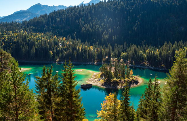 Comfort Alpine - Foto 32