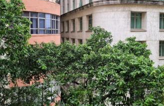 Aconchegante e bem localizado - Foto 29