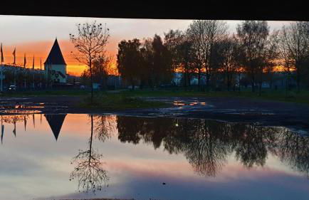 Moselglück - Foto 17