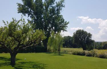 Agriturismo Villa al piano - Foto 50