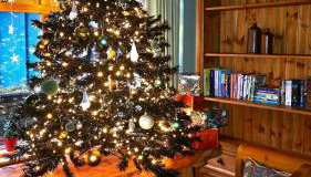 The Old Stables - Photo 2