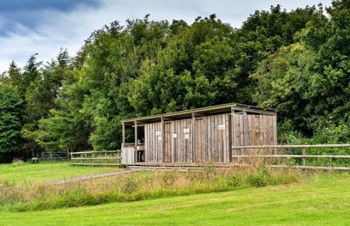 Finest Retreats - Beech Lotus Belle Tent - Foto 10