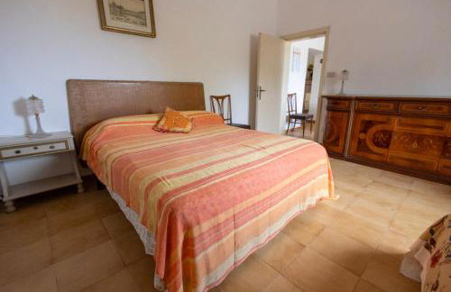 BasicNature - Foto 19