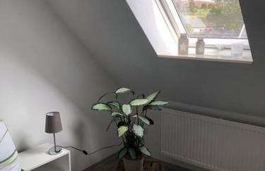 Ferienwohnung Sonnenhof - Foto 41