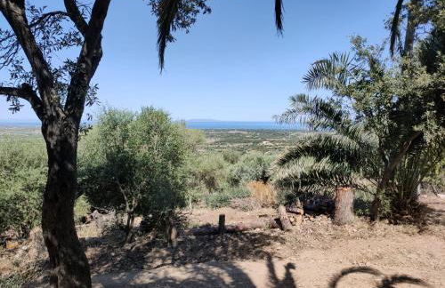 Villa del Palmeto - Foto 30