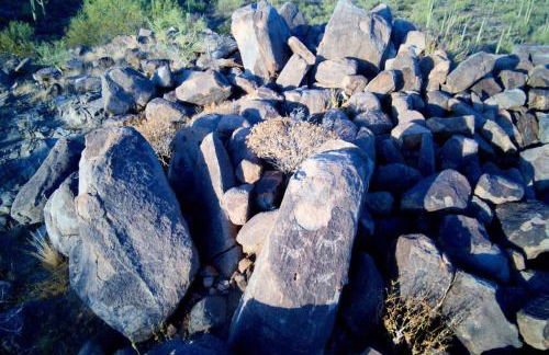 R&R in Saguaro Natl Park - Foto 6