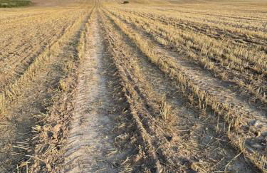 Neu renoviert: 11 Zimmer mit großer Wohnküche, mitten in der Natur - Foto 15