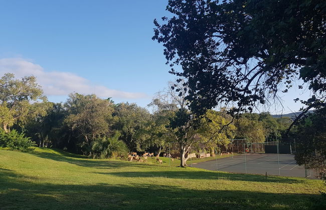 Kruger Park Lodge - Photo 19