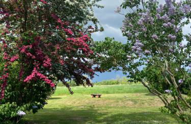 Am Achterwasser DORF 12 - Foto 24