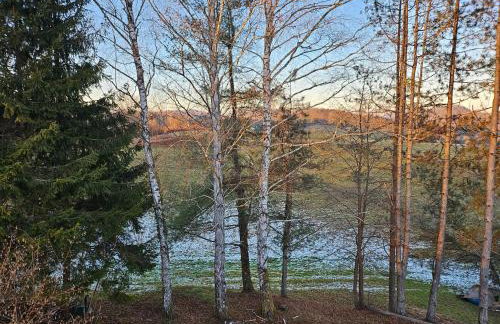 Kuća za odmor Šumska Vila - Foto 61