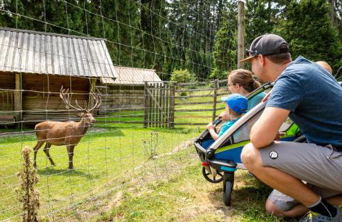 Ferienwohnung Behnke - Foto 34