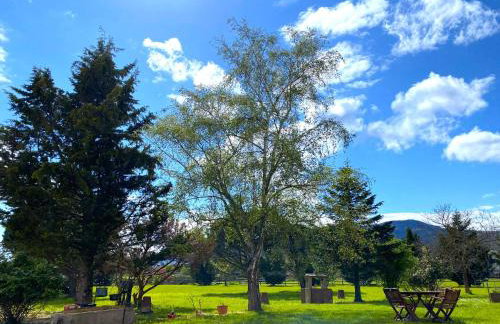 L'Etoile du Vignoble Meublé de Tourisme 4 étoiles au cœur d'un ranch alsacien sur la route des Vins - Climatisé - Foto 3