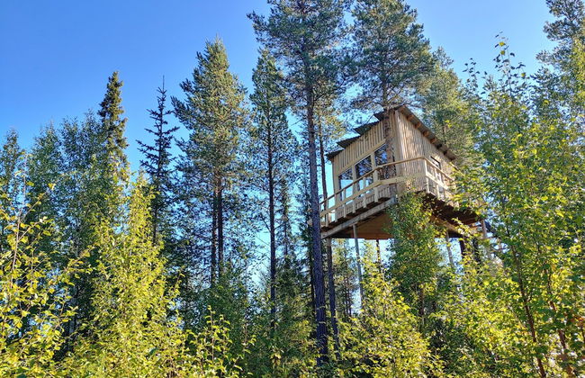 Aurora Lodge - Foto 6