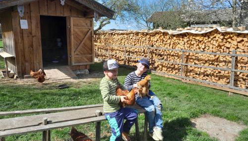 Demelhof Urlaub auf dem Bauernhof - Foto 3