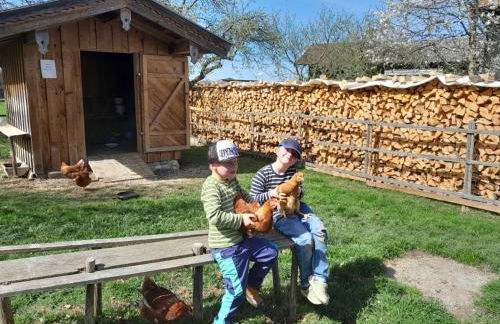 Demelhof Urlaub auf dem Bauernhof - Foto 3