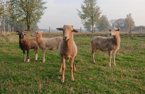 Pension Müllers Mühle - Foto 27