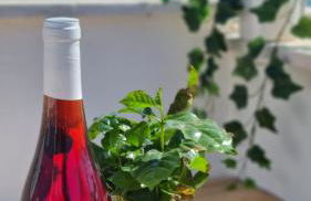 Dimora La Terrazza - Foto 7