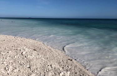 Fewo Storchennest - Foto 4