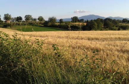 Villa Miranda - Foto 38