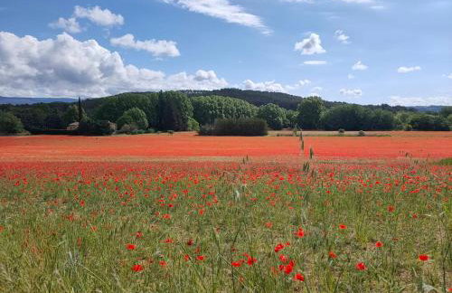 La perle de Gordes - Photo 36