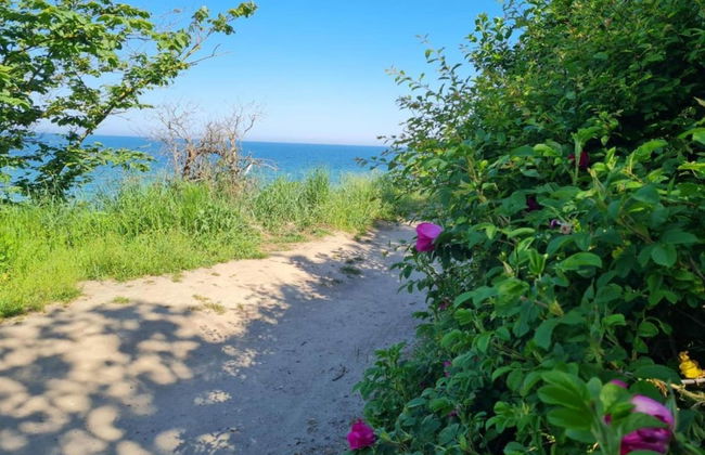 Stilvolle Wohnung mit Garten in Rerik - Foto 35