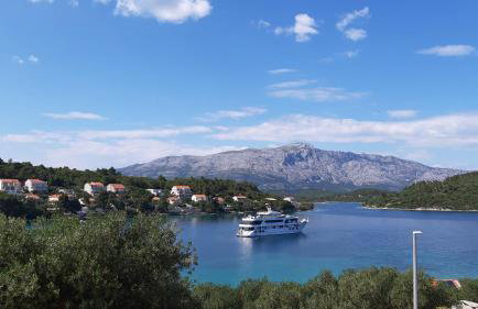 Studio apartman Kornelija - Foto 24