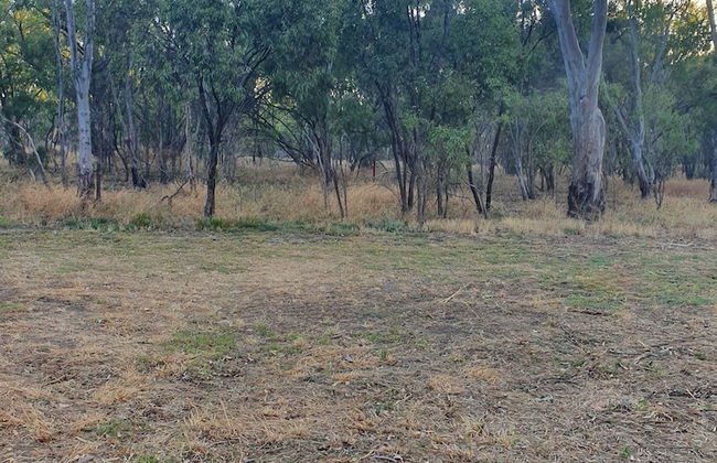 Deniliquin Pioneer Tourist Park - Foto 54