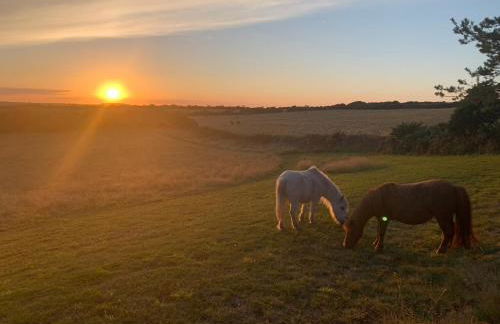 Silverspring Hideaways - Foto 11