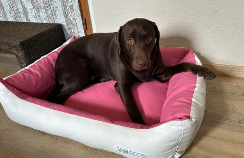 Ferienhaus Löwenherz - Foto 47