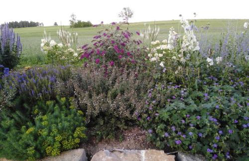 Eva's Ferienwohnung - Foto 7