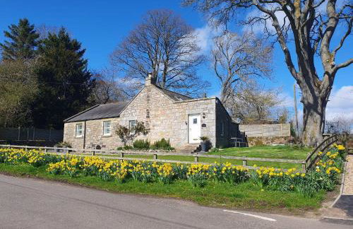 The Old School - Foto 1